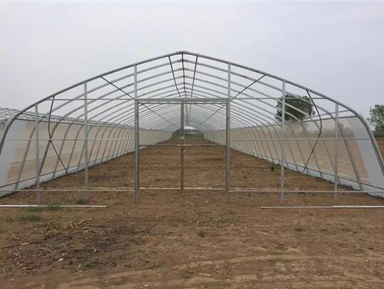 淇县食用菌大棚建设中