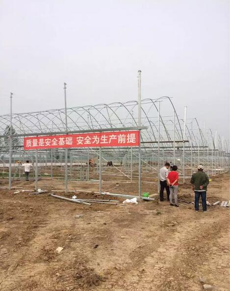 驻马店平舆县李屯镇育苗连栋大棚施工中